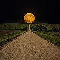 Road to Nowhere - Supermoon