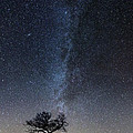 Winter's Night