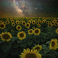 Night of a Billion Suns